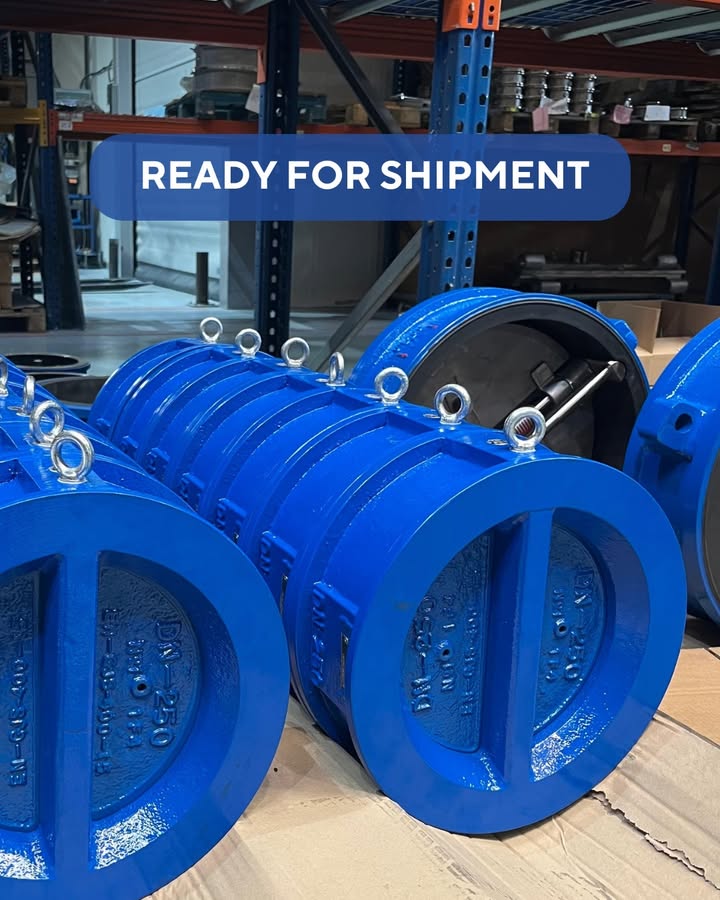 Castflow Valves, S.L